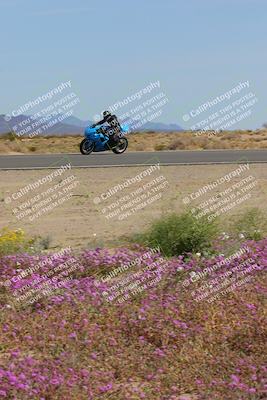 media/Mar-12-2023-SoCal Trackdays (Sun) [[d4c8249724]]/Turn 15 Inside Bloom (130pm)/